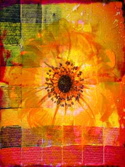 2020-02-24  Anemone 01d 60x80cm Tinte auf Hahnemühlepapier